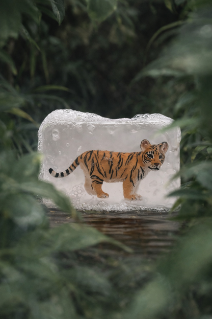 Savon Wild - Tigre